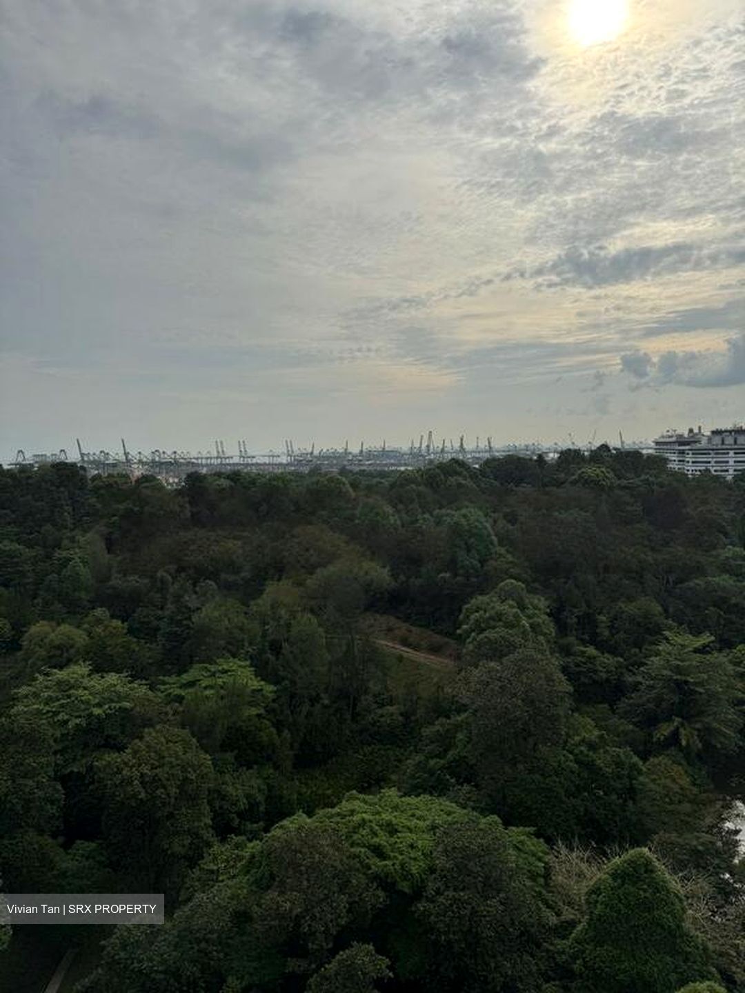 Normanton Park (D5), Apartment #486121021